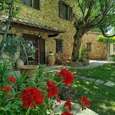 All'Ombra Di San Damiano Assisi Bagian luar foto