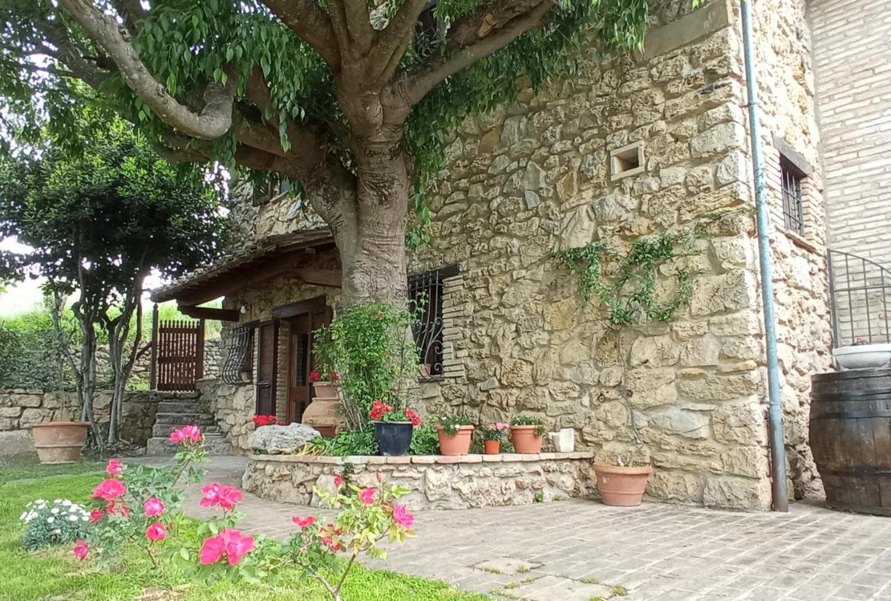 All'Ombra Di San Damiano Assisi Bagian luar foto