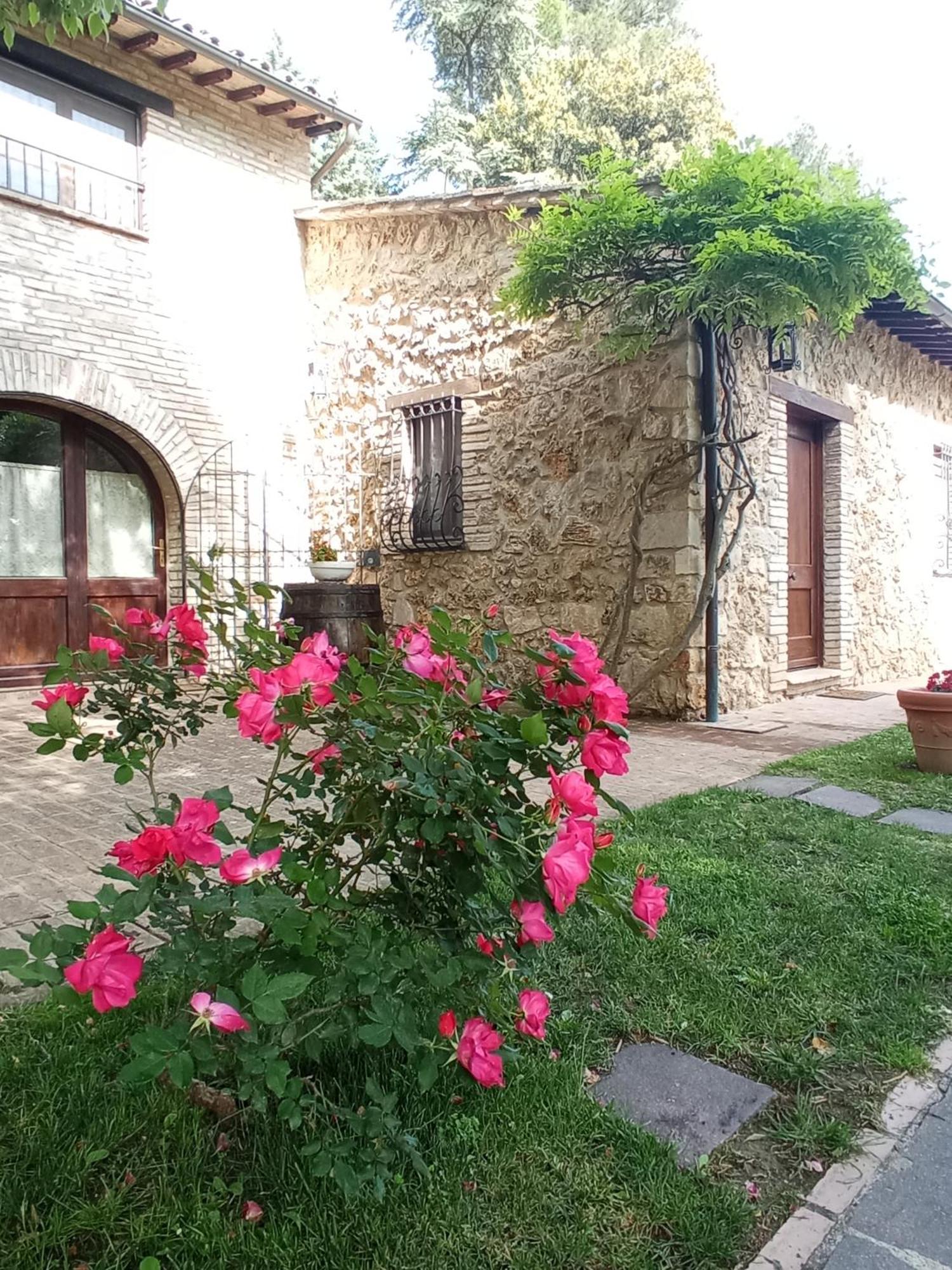 All'Ombra Di San Damiano Assisi Bagian luar foto