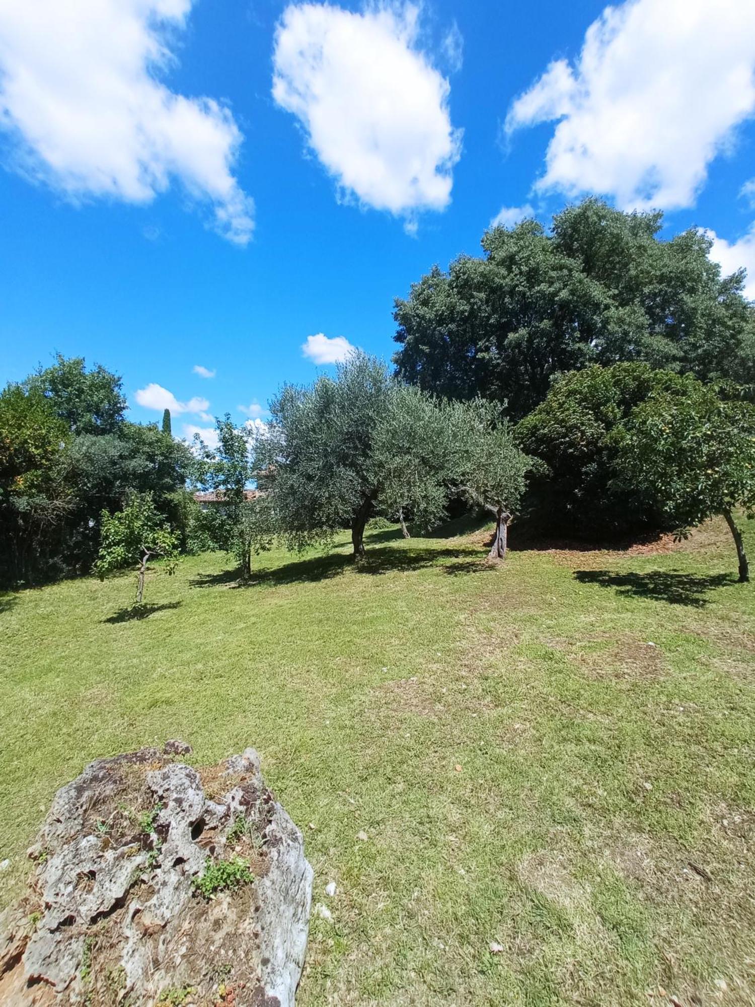 All'Ombra Di San Damiano Assisi Bagian luar foto