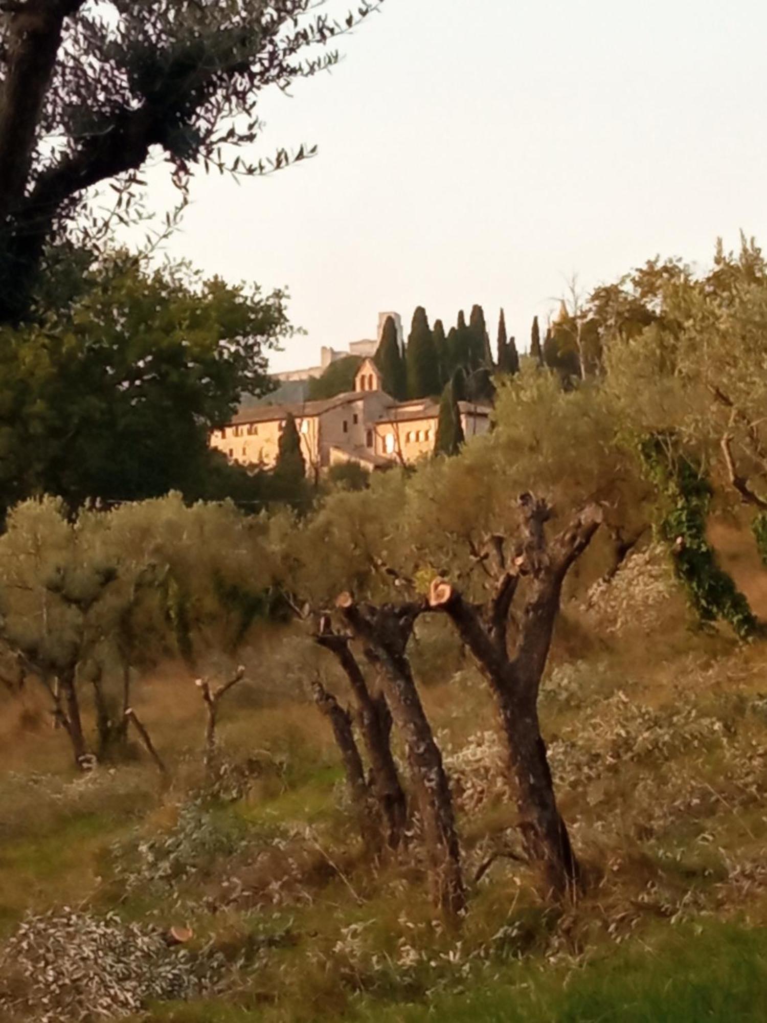All'Ombra Di San Damiano Assisi Bagian luar foto