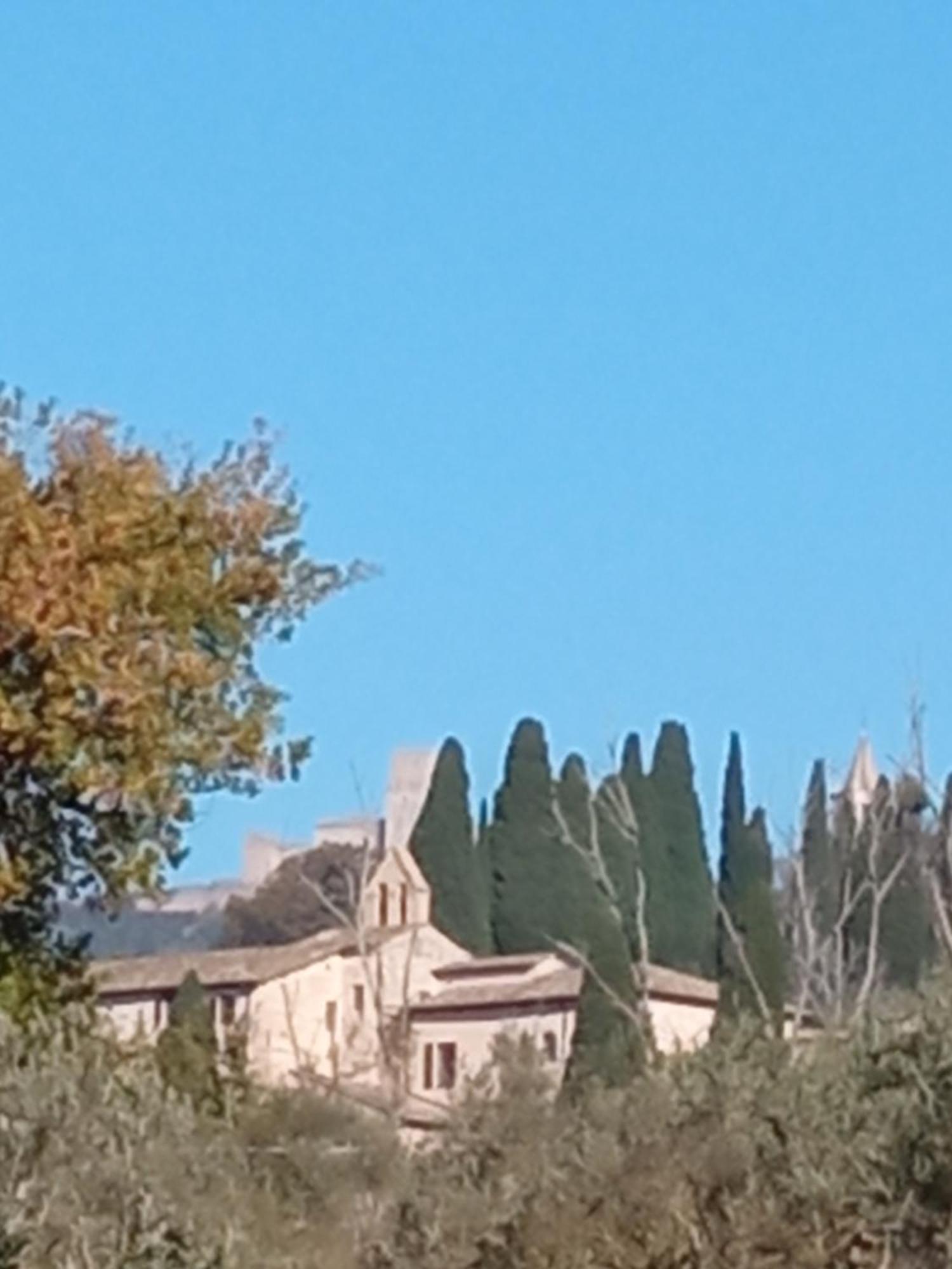 All'Ombra Di San Damiano Assisi Bagian luar foto