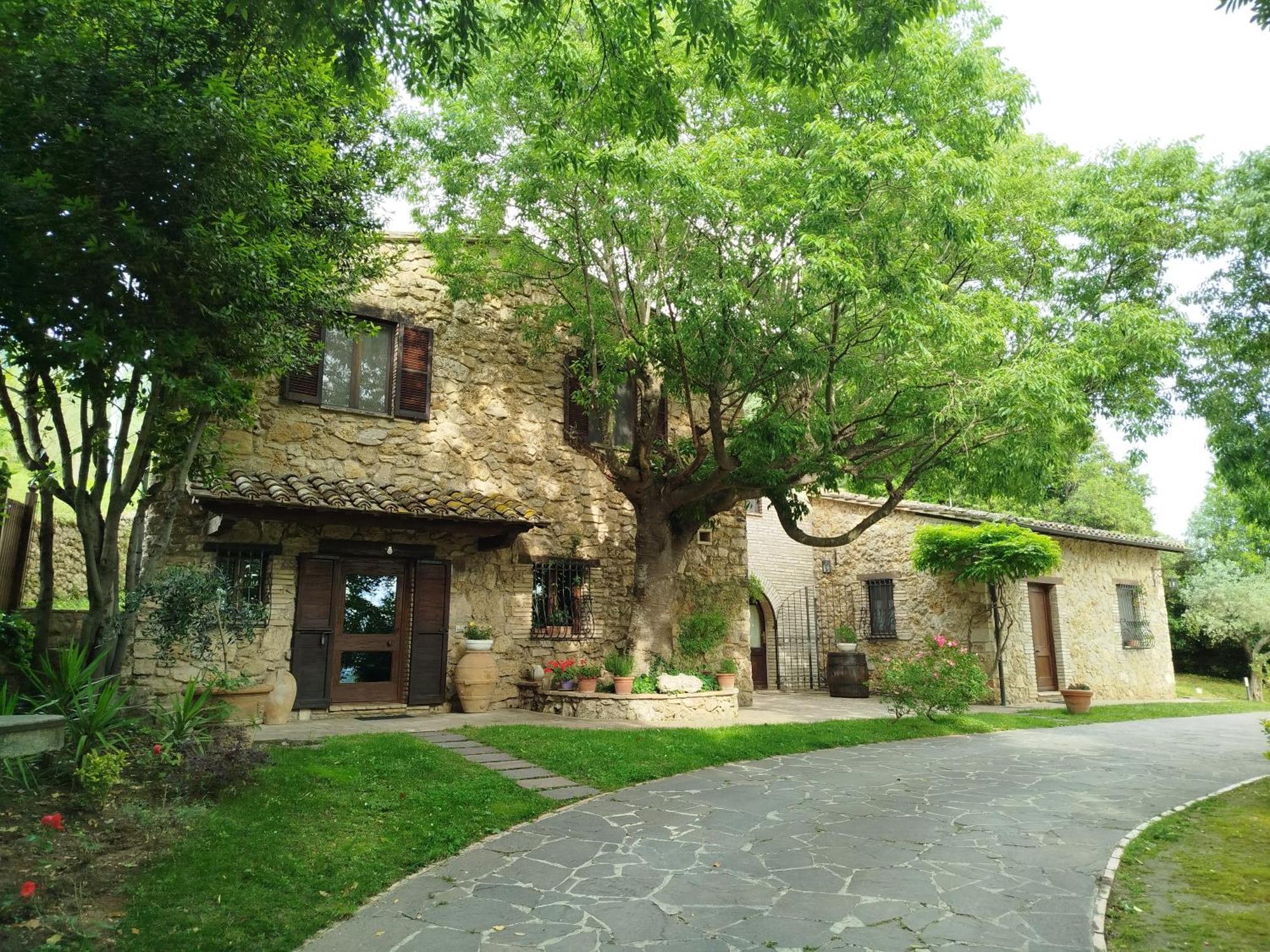 All'Ombra Di San Damiano Assisi Bagian luar foto